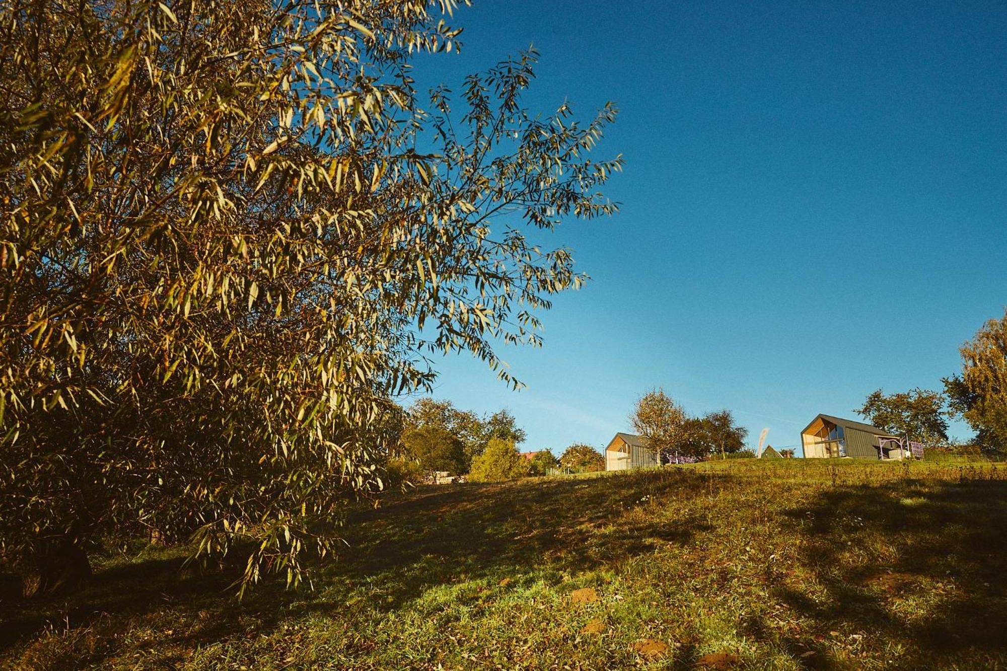 Scandinave Chalet Bran Zărneşti Exterior foto