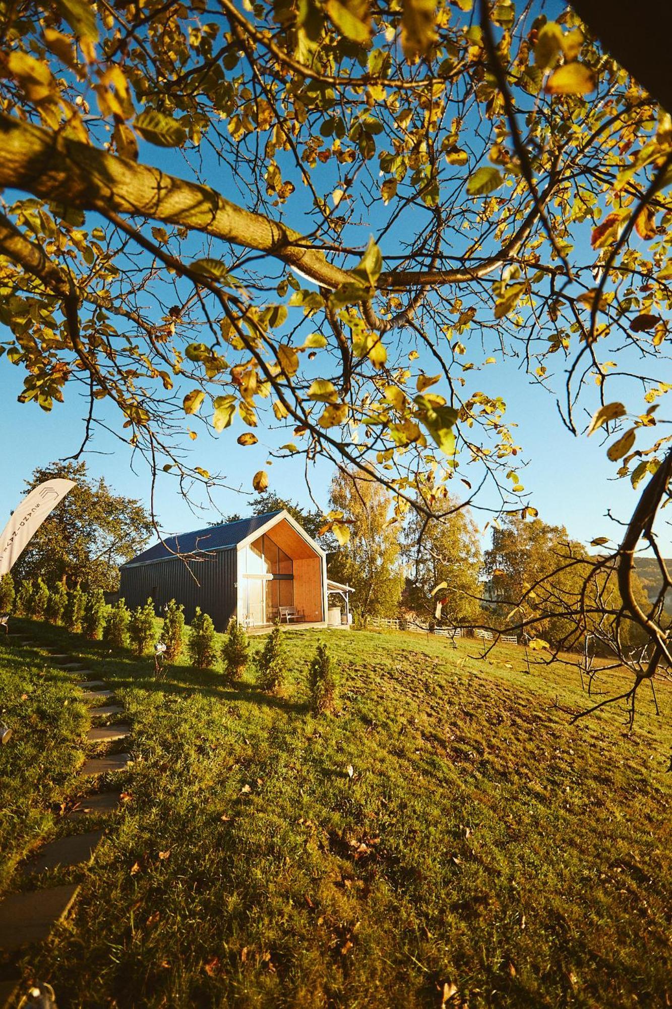 Scandinave Chalet Bran Zărneşti Exterior foto