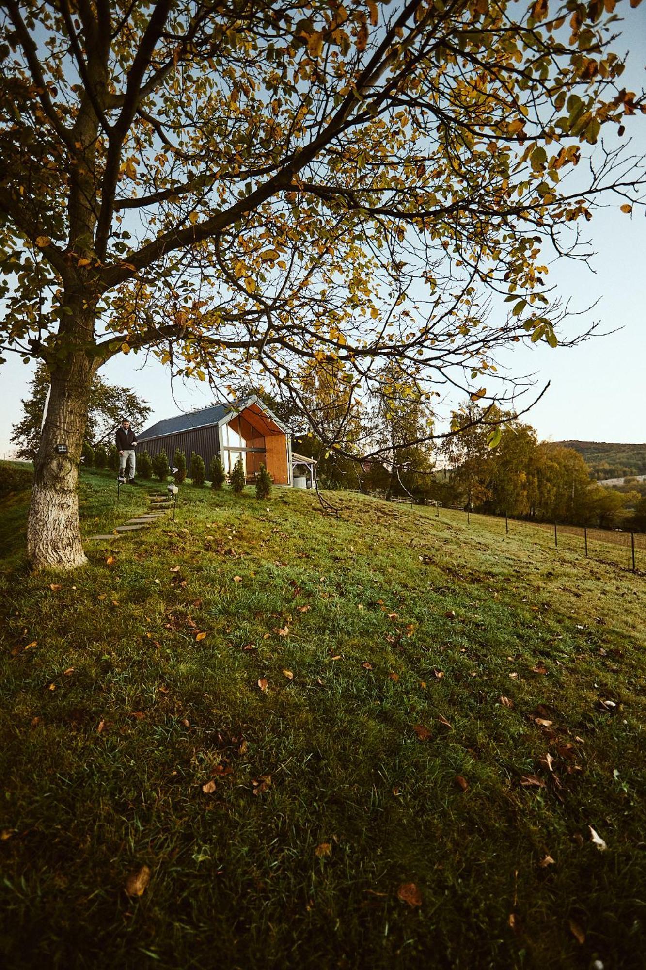 Scandinave Chalet Bran Zărneşti Exterior foto