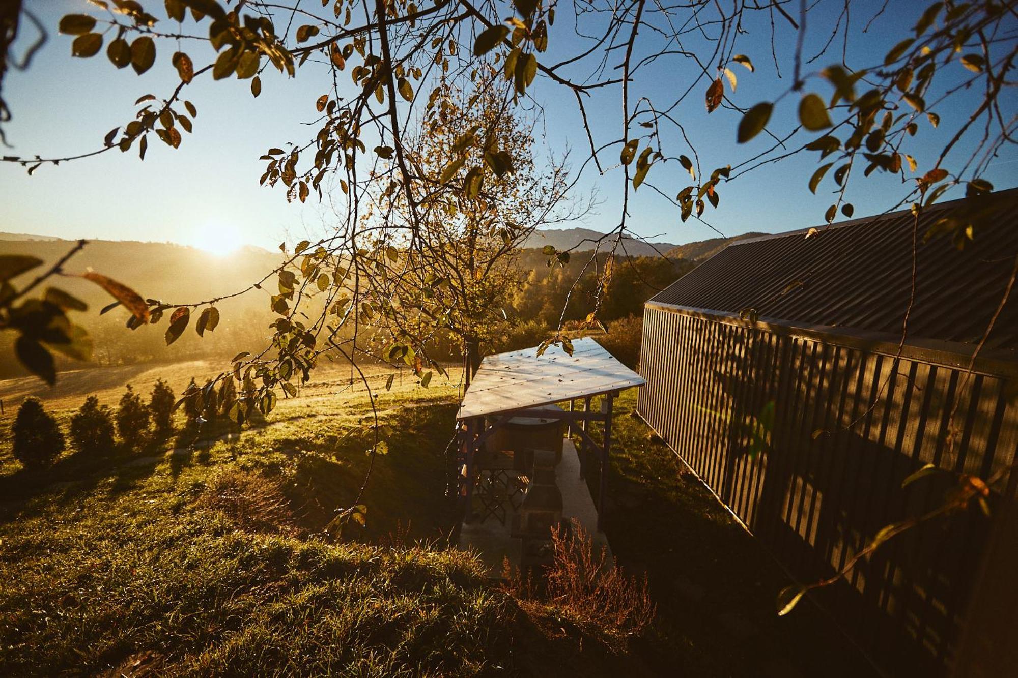 Scandinave Chalet Bran Zărneşti Exterior foto