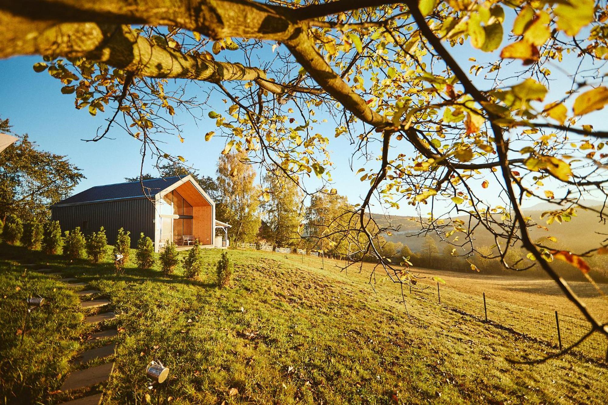 Scandinave Chalet Bran Zărneşti Exterior foto
