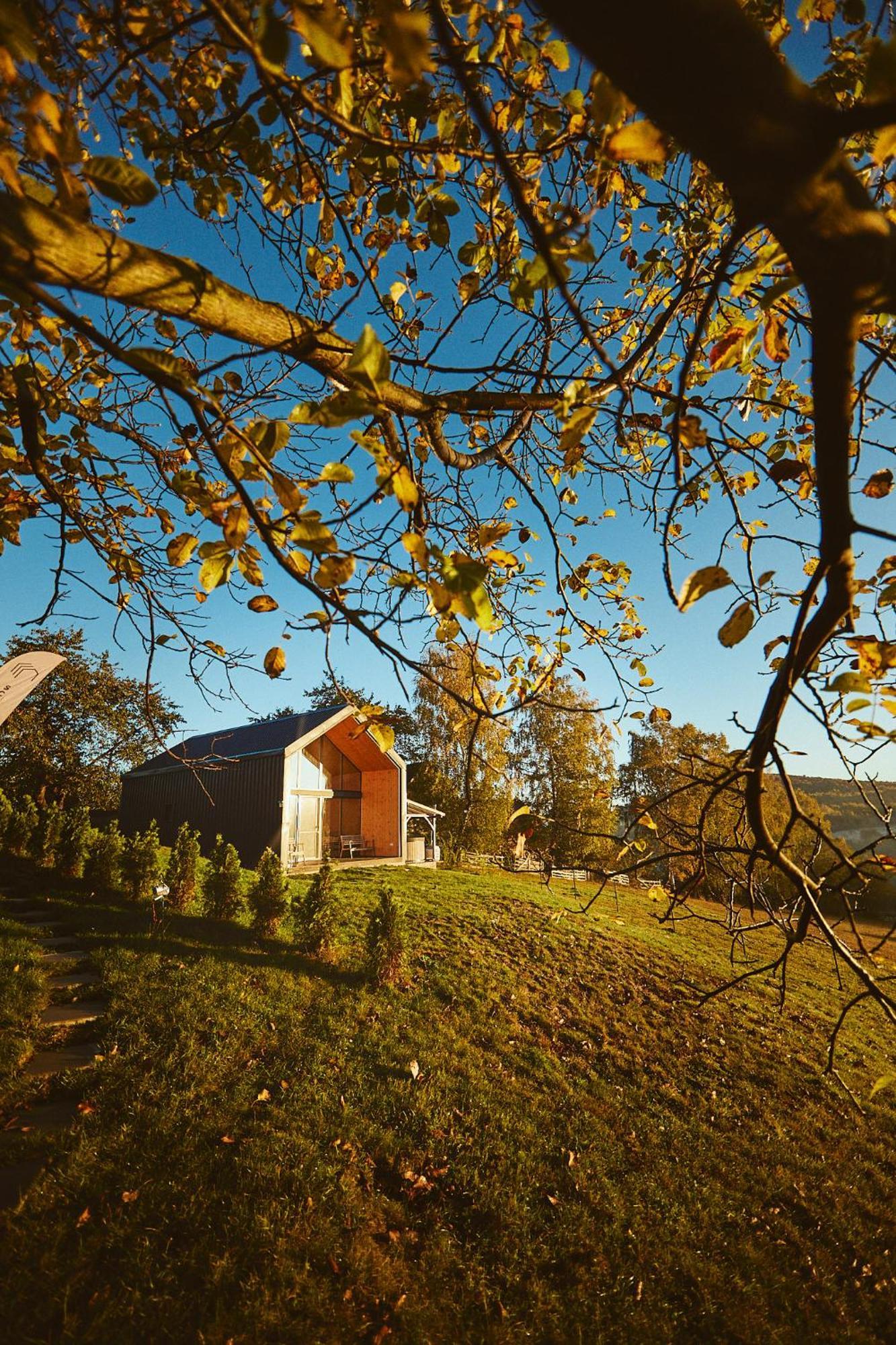 Scandinave Chalet Bran Zărneşti Exterior foto
